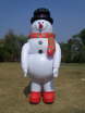 Snowman IC (3)